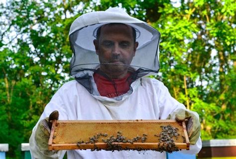 6 Easy & Fast Honey Harvesting Steps for Your Best Yield Ever ...