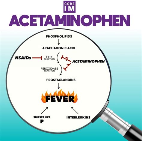 Core IM: Mind the Gap on Acetaminophen/Fevers Pathophysiology and Patient Outcomes – Clinical ...