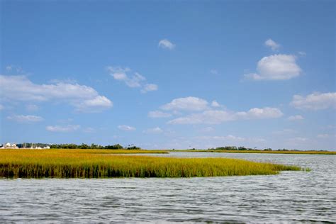 Kiawah Island Fishing | Charleston Charter Fishing