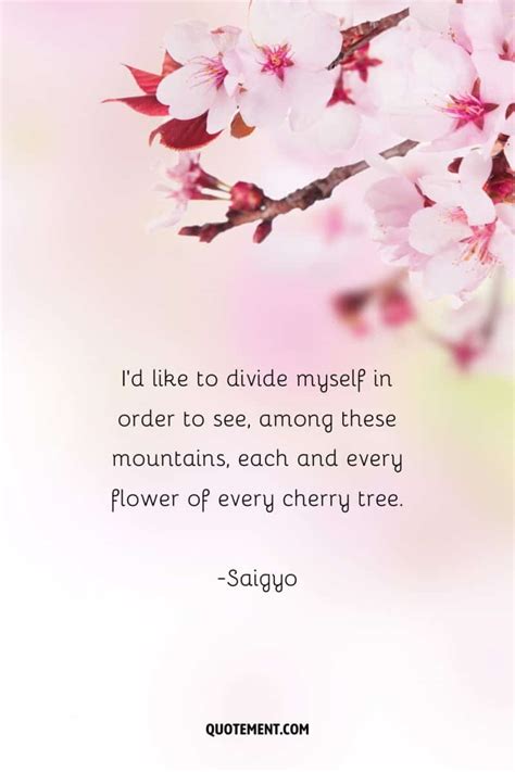 80 Best Cherry Blossom Quotes To Celebrate Perpetual Beauty