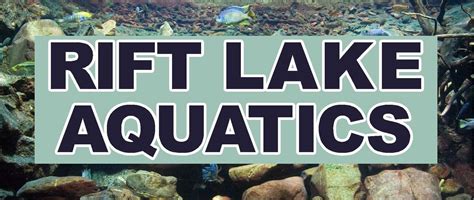 Rift Lake Aquatics | eBay Stores