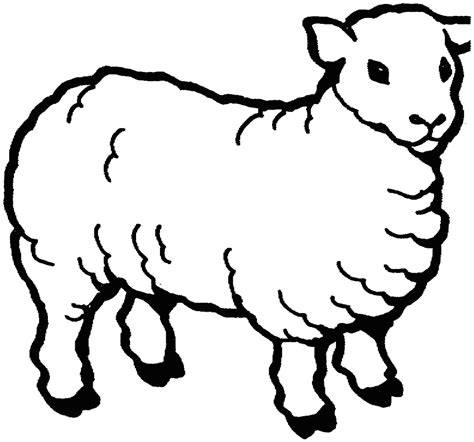 Free White Sheep Cliparts, Download Free White Sheep Cliparts png images, Free ClipArts on ...