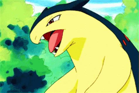 Typhlosion Pokemon GIF - Typhlosion Pokemon Fire - Discover & Share GIFs