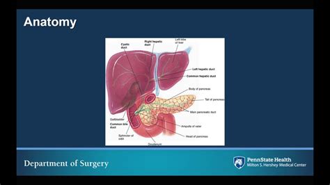 RUQ Abdominal Pain for Medical Students - YouTube