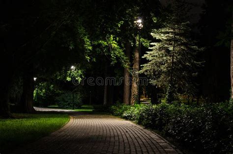 City park at night stock photo. Image of urban, green - 38457388