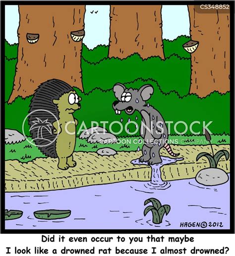 Drowned Rat Cartoons and Comics - funny pictures from CartoonStock