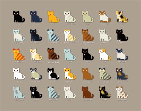 35 Cat Colors and Patterns Original Design Poster - Etsy