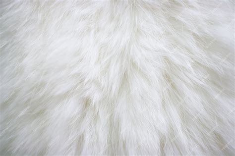 Premium Photo | Texture of natural long-haired white fur.