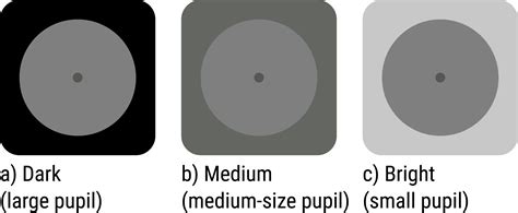 The effect of pupil size and peripheral brightness on detection and ...