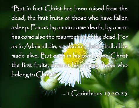 Tagalog Prayers and Christian Quotes: Bible Quotes About Death - 1 Corinthians 15:20-23