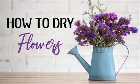 How To Dry Flowers: Unexpected Drying Methods That WORK! - DIY Craft Club