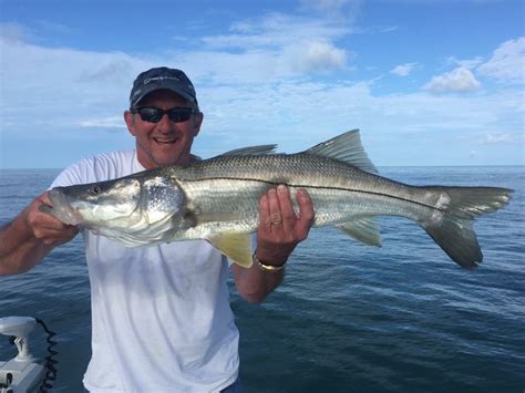 Snook Fishing Clearwater FL