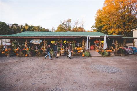 Catskills Peak Fall Foliage 2020 | Ultimate Fall Guide