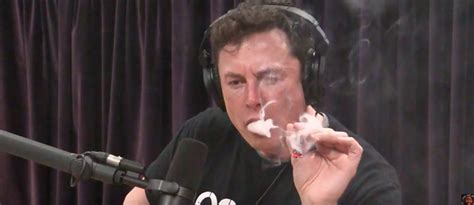 Elon musk smokes weed (but doesn't inhale) on the joe rogan show - CannaConnection