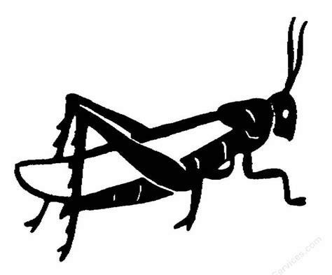 Grasshopper Clipart Black And White - ClipArt Best