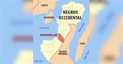 4 NPA rebels killed in Himamaylan clash