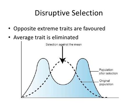 Types of selection