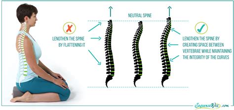 When “good posture” is not so good for your body - Sequence Wiz