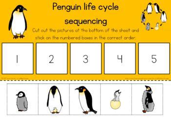 Penguin life cycle sequencing activity worksheet | Penguin life cycle ...