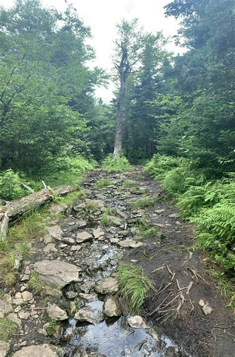 Photos of Haystack Mountain Trail - Vermont | AllTrails