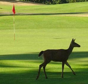 Deer Run Golf Course & Resort in Washington Island, Door County, United ...