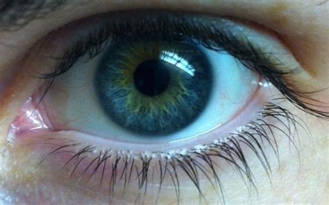 eye shape & blue/green color | Heterochromia eyes, Blue green eyes ...