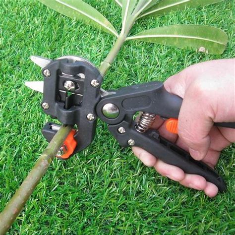 Professional Garden Fruit Tree Pruning Shears Scissor Grafting cutting Tool + 2 Blades garden ...