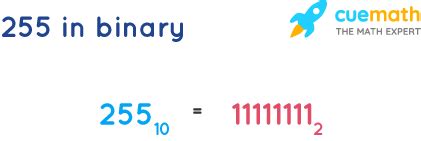 255 in Binary - How to Convert 255 from Decimal to Binary?