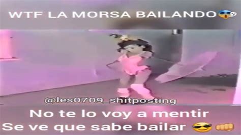 WTF la morsa bailando - YouTube