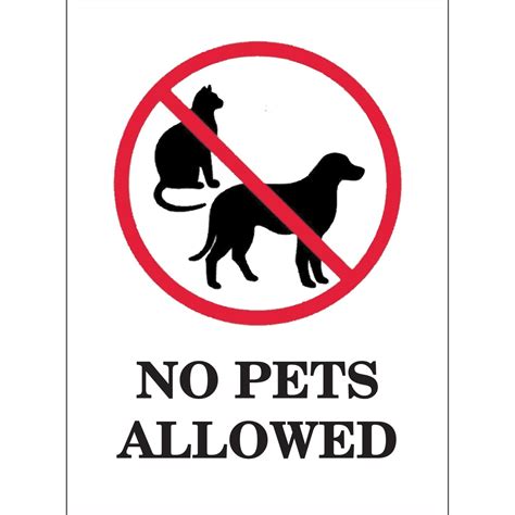 No Pet Allowed | ubicaciondepersonas.cdmx.gob.mx