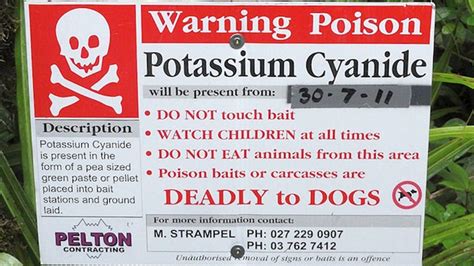 With threats of chemical war in Syria, a new antidote to poisonous cyanide attacks | Fox News