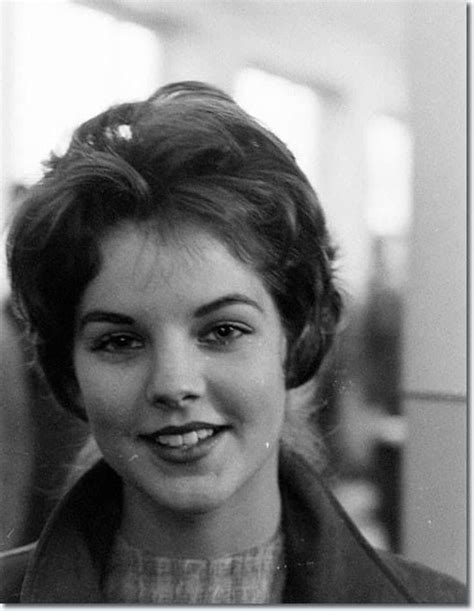 13 Pictures of Young Priscilla Presley | Young priscilla presley, Priscilla presley, Elvis presley