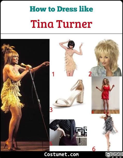 Tina Turner Costume for Halloween