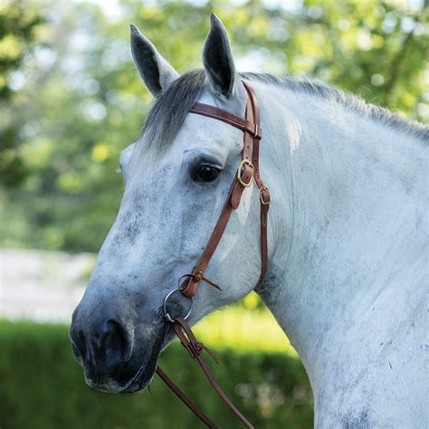 Billy Royal® Draft Horse Harness Leather Headstall in Browband at Schneider Saddlery