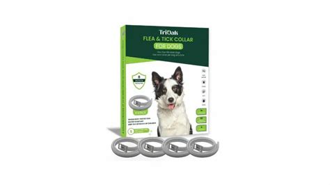 11 Best Flea Collar For Dogs: Top Picks For 2023 | Alpha Paw