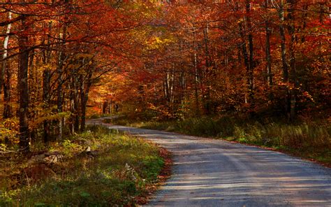 Autumn Free Wallpaper - COUNTRY ROADS..TAKE ME HOME! Wallpapers - HD ...