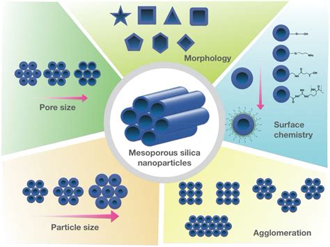 Pharmaceutics | Free Full-Text | An Update on Mesoporous Silica Nanoparticle Applications in ...