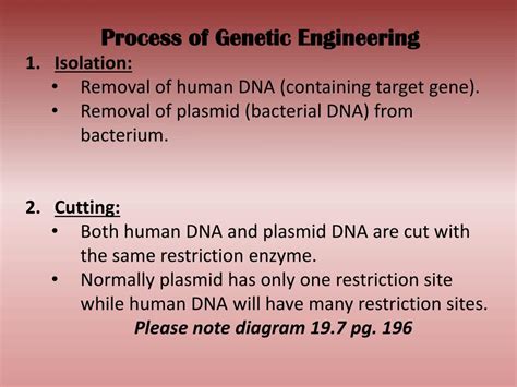 PPT - Chpt. 19: Genetic Engineering PowerPoint Presentation, free ...