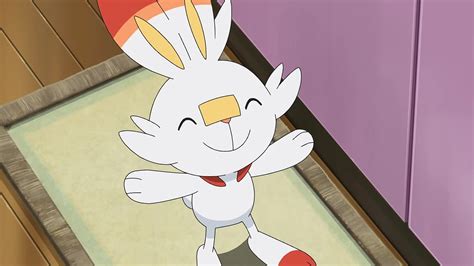 Scorbunny Screenshot | Anime, Pokemon journeys, Pokemon