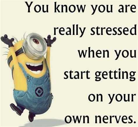 The true sign of stress. Haha! Minions Fans, Funny Minion Memes, Minions Love, Minions Quotes ...