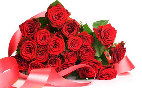 Red Rose HD Flowers Wallpapers - Flowers