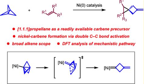 Exploring the mechanism of a new catalytic ring-opening reaction of the ...