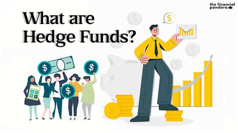 What are Hedge Funds? - The Financial Pandora