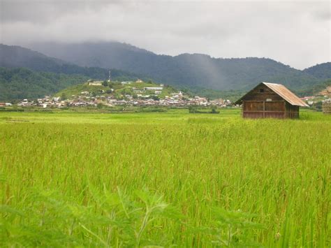 Ziro - Hill Station of Arunachal Pradesh