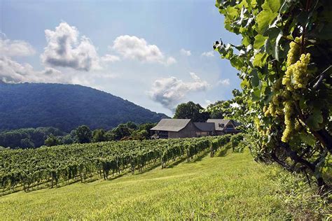 10 Must-Visit Wineries in Virginia