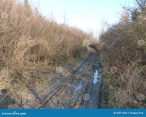 Mud and Puddles on the Dirt Road. Stock Photo - Image of tracks, groove: 82871666