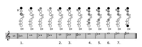 The Kingma System Alto Flute: A Practical Guide for Composers and Performers