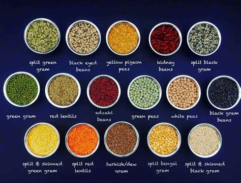 Indian Pulses - A quick guide to lentils, beans and peas - Ministry of Curry