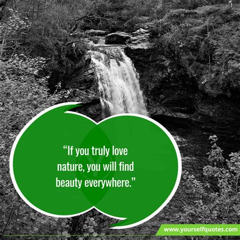 Beautiful Nature Quotes