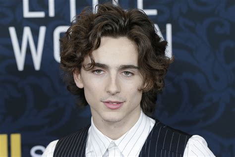 Timothee Chalamet, Winona Ryder star in 'Scissorhands'-themed Cadillac ...